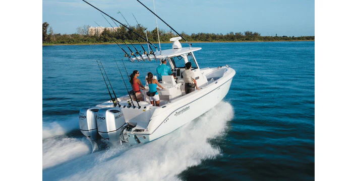BF250 Extra Long Leg - Image 2