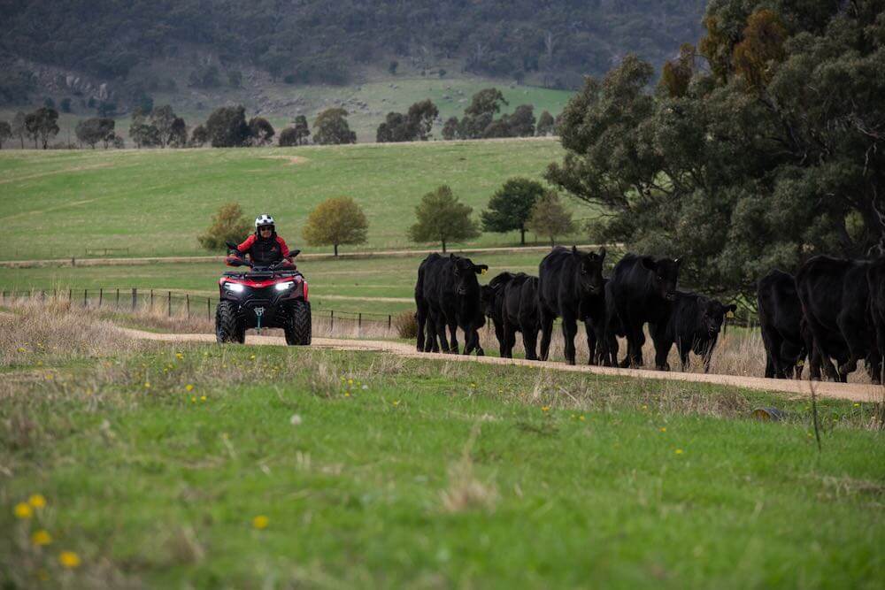 CFMOTO - CFORCE 520 EPS - Image 16