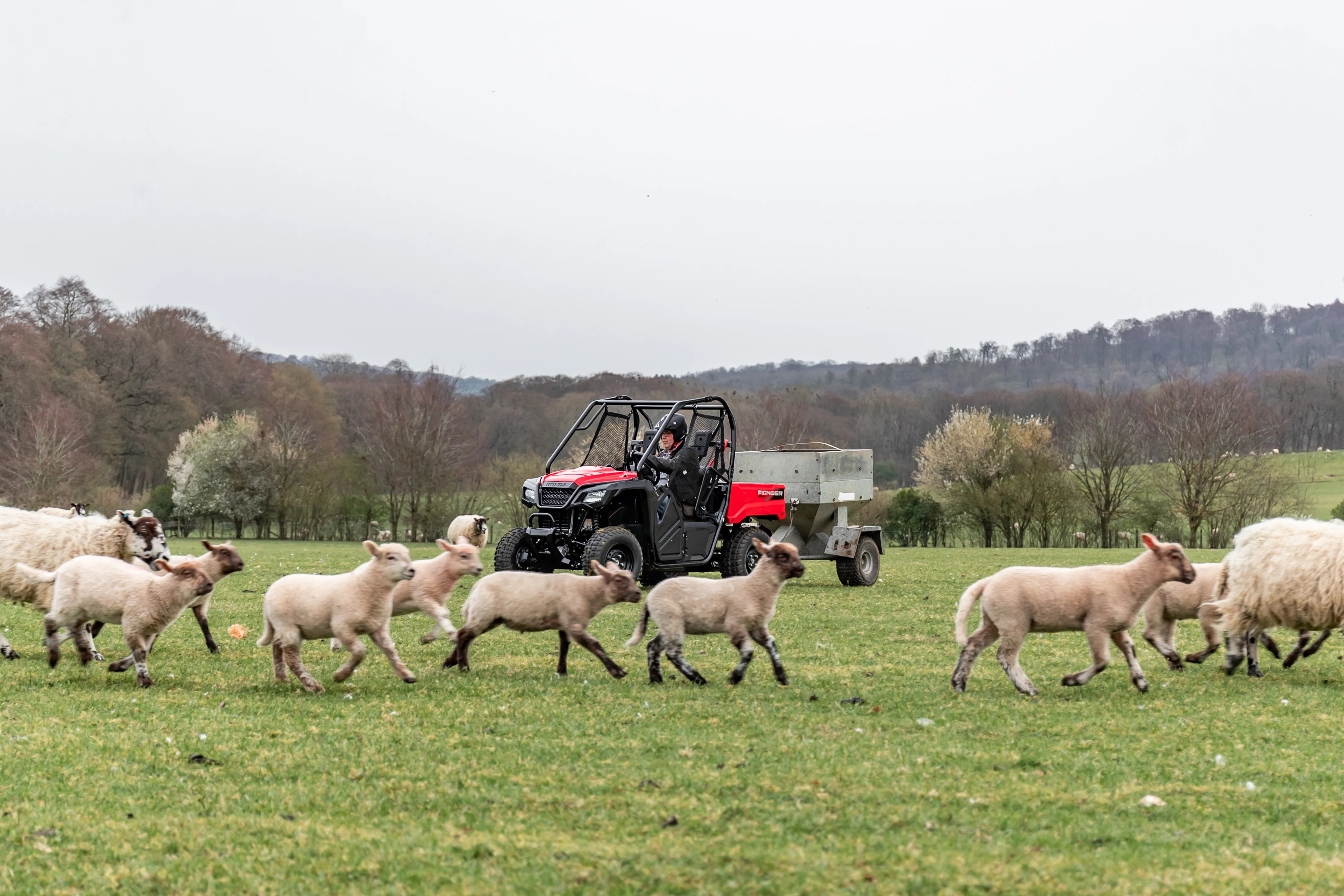 Honda Pioneer 520 - 2 Seater UTV - Image 19