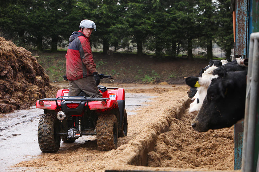 Honda TRX420 FA2 - Fourtrax DCT PS 2-4wd - Image 9