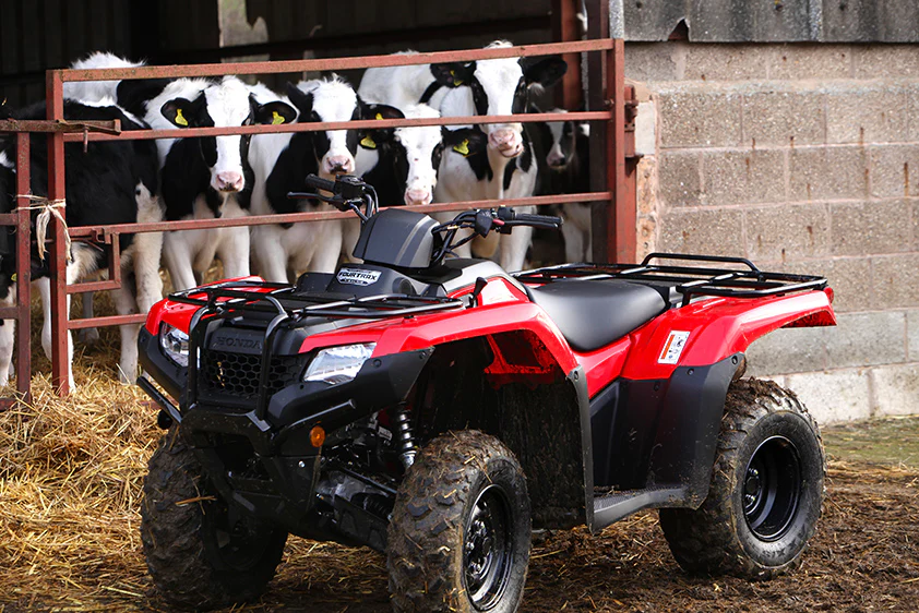 Honda TRX420 FM1 - Fourtrax S 2-4wd - Image 7