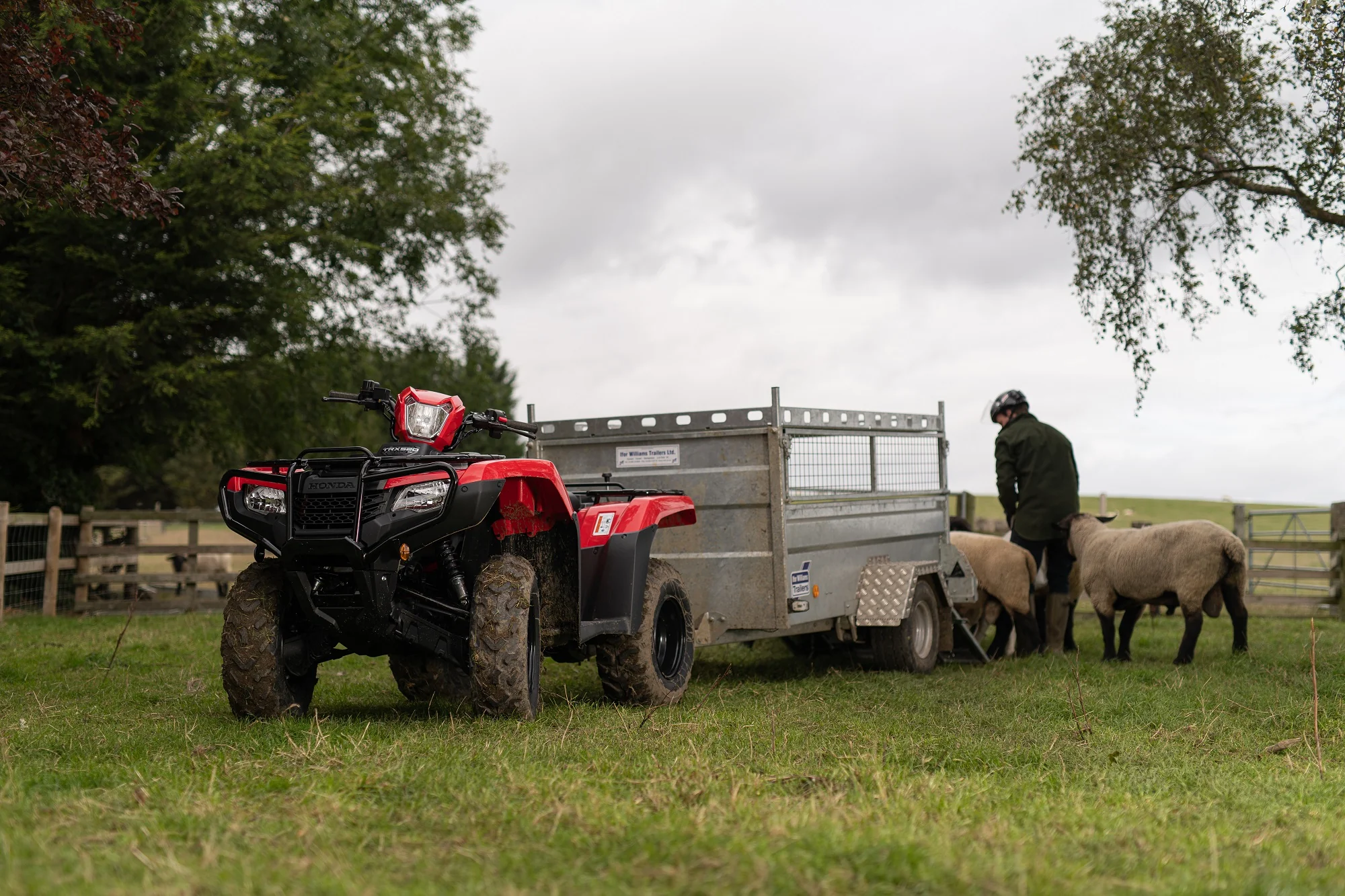 Honda TRX520 FM6 - Foreman S 2-4wd (Independent Rear Suspension) & Power Steering ATV - Image 10